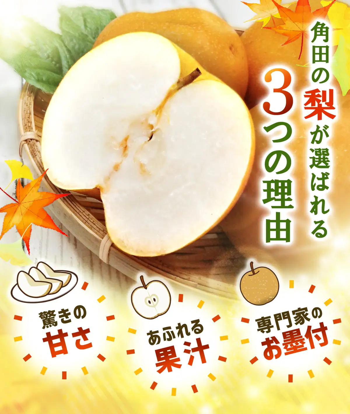 【2026年発送】梨「豊水」約4kg（6～8玉入）【松崎果樹園】 ｜ 梨 
