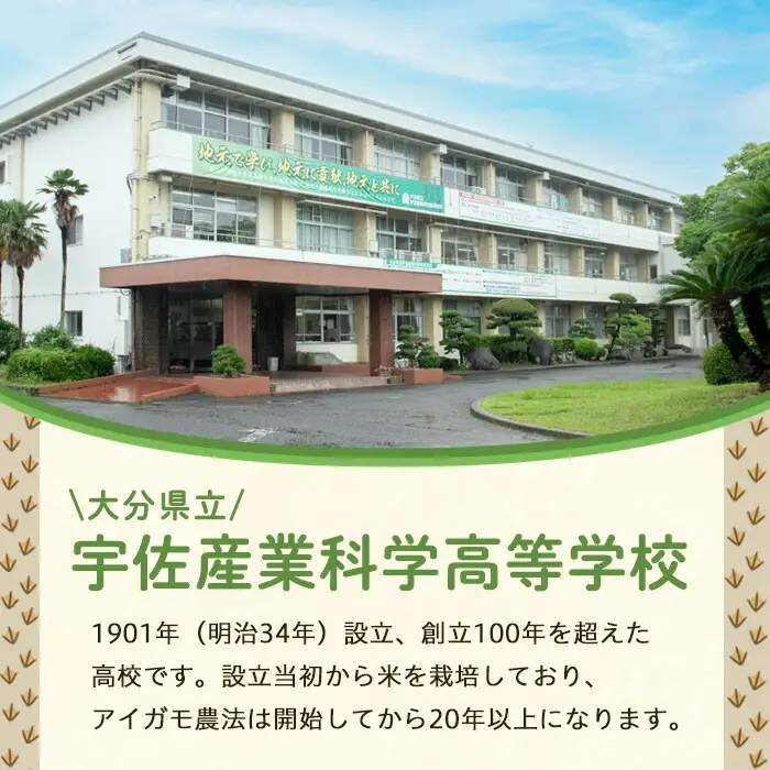 ＜先行予約受付中！2026年11月上旬以降順次発送予定＞＜新米・令和8年産＞アイガモ農法米(計6kg・3kg×2袋) 米 お米 精米 白米 ごはん ご飯【109600101】【大分県立宇佐産業科学高等学校】