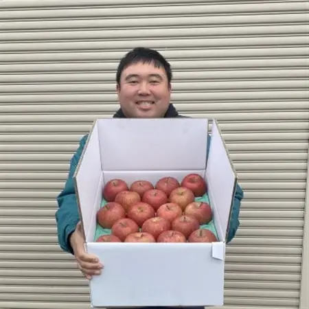 糖度保証!!　訳あり品　王林10kg(26個～46個)【令和8年11月より順次発送】_果物・フルーツ りんご  リンゴ 林檎_【配送不可地域：離島・沖縄県】【1491943】