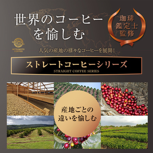 三本珈琲 ストレートコーヒー レギュラーコーヒー (粉) 飲み比べセット 計570g 4種 グアテマラ エチオピア キリマンジャロ タンザニア マンデリン インドネシア 珈琲 コーヒー豆 珈琲豆【三本珈琲株式会社】ta420