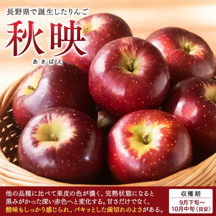 秋映（約5kg、優14～18玉）