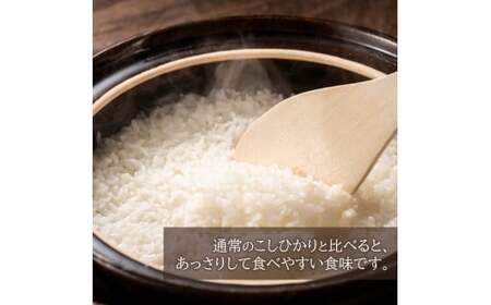 令和6年産 新米 こしひかり 15kg （白米） 宮崎県産
