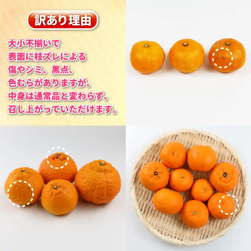 訳あり 柑橘定期便 全3回 杉本屋  不知火 デコポン ( デコポン と同品種) 完熟みかん ポンカン B030-143013