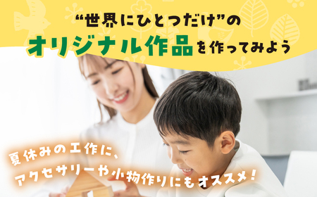 遊べる 学べる 天然木 端材 セット『飛騨の天然木 端材セット』 てむずりの木 10種類 以上 いろいろ 木 板 かんな 詰め合わせ 木材 夏休み 工作 アクセサリー 材料 手作り DIY お手軽 ハンドメイド つみき 作品 オリジナル 自由研究 知育 10000 1万円【Q2477】