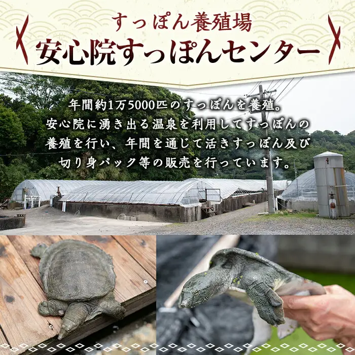 すっぽん切身鍋セット(7～8人前)すっぽん スッポン 切り身 珍味 冷凍 コラーゲン 鍋用【102700401】【安心院すっぽんセンター】