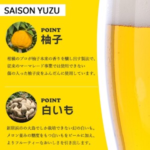 新居浜初 クラフトビール ヒメビール 2種飲み比べ セット 330ml×6本 Niihama Beverage 愛媛果汁食品