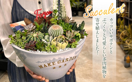 多肉植物の寄せ植え　Lサイズ 人気 インテリア 室内