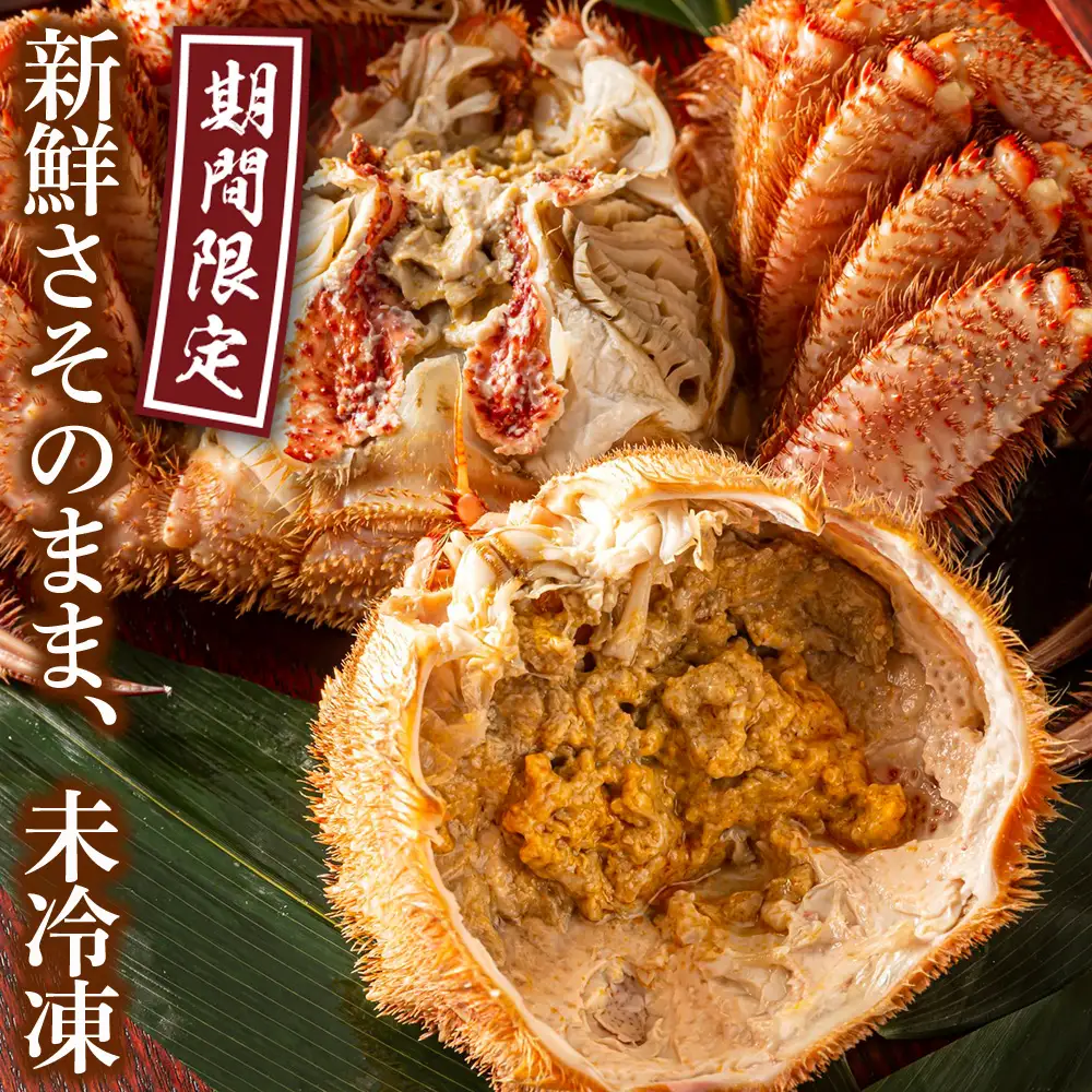 ★期間限定★ 浜ゆで！毛ガニ 約400g～450g×2尾 チルド配送 7/17~7/30発送【斉藤水産】 AM102