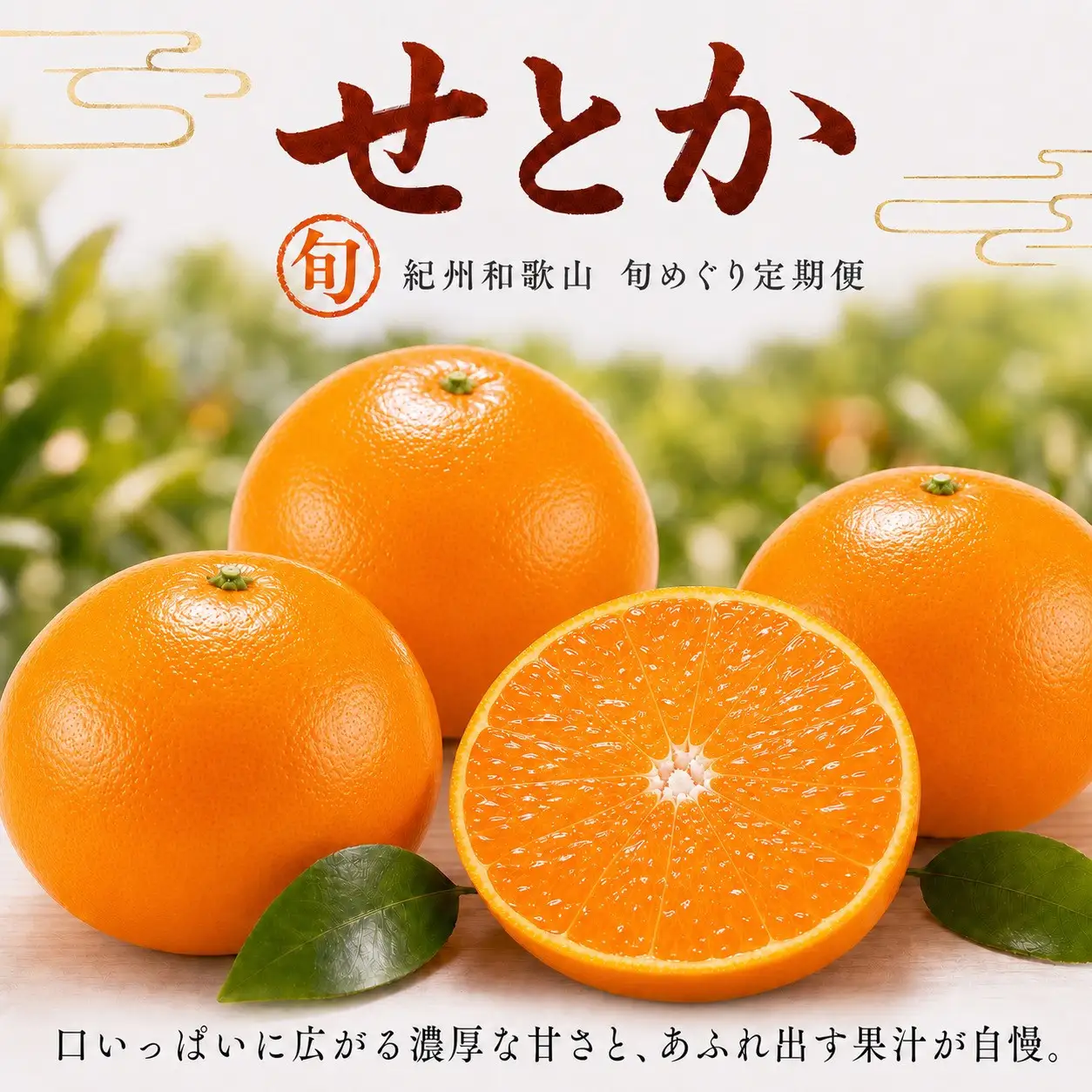 【3・7・11月 全3回】紀州和歌山産旬のフルーツセット（せとか・桃・富有柿） 定期便 【魚鶴】【UT72】