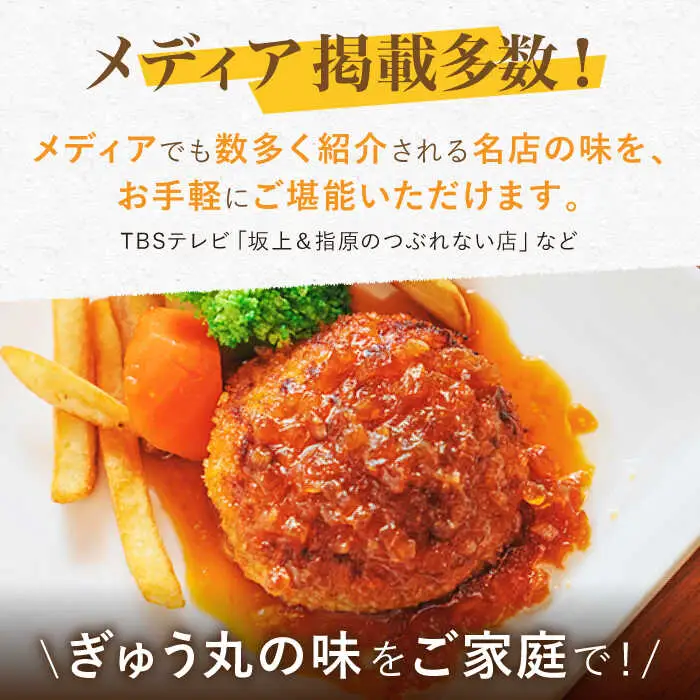 【定期便】 ハンバーグ ぎゅう丸フルコースセット NCQ118 ハンバーグ 全12回