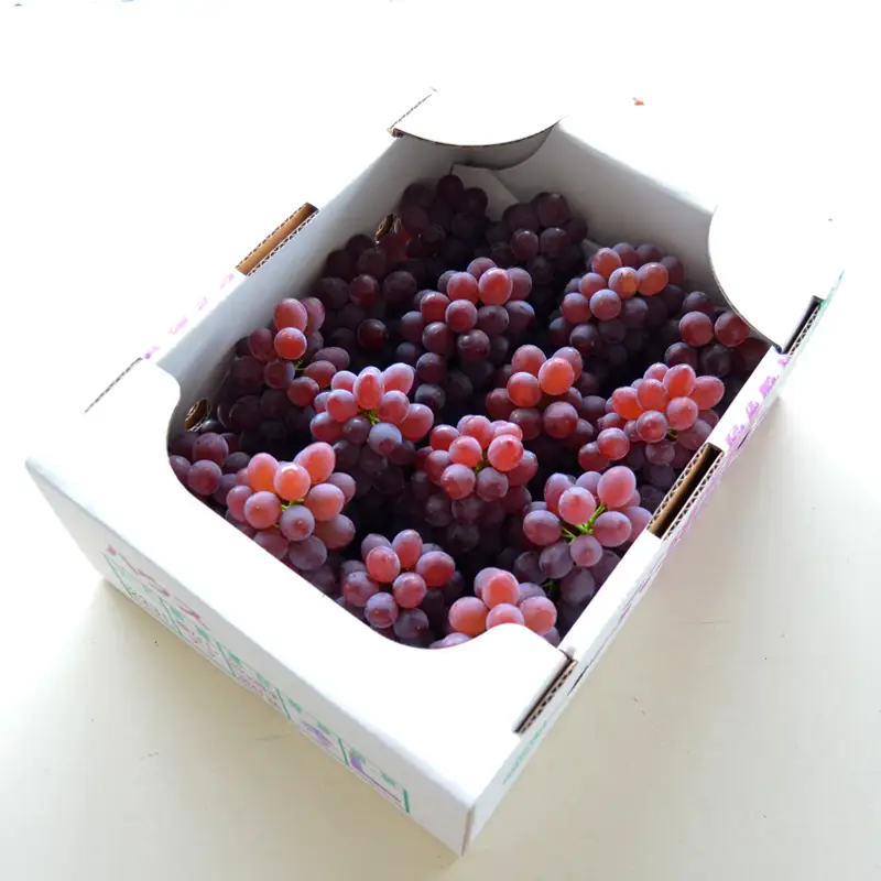 【ご家庭用】山形のデラウエア M～3L 約2kg(9～22房) [粒サイズおまかせ]【令和8年産先行予約】 FS24-137 くだもの 果物 フルーツ 山形 山形県 山形市 2026年産