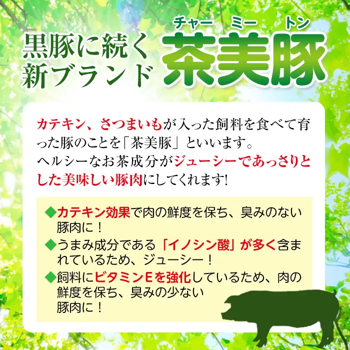 ＜Ｌ-1401＞ 鹿児島 茶美豚 ロース とんかつ セット 300g×3P 計900g 【JA鹿児島いずみ】 i967