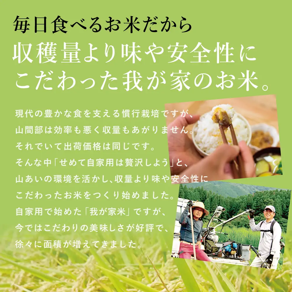 【令和6年産】＜新米・8月発送開始＞ 狩集農園の我が家で食べてるお米 5kg 鹿児島県産 コシヒカリ 米 白米 お米 おこめ コメ 精米 狩集農園 南さつま市