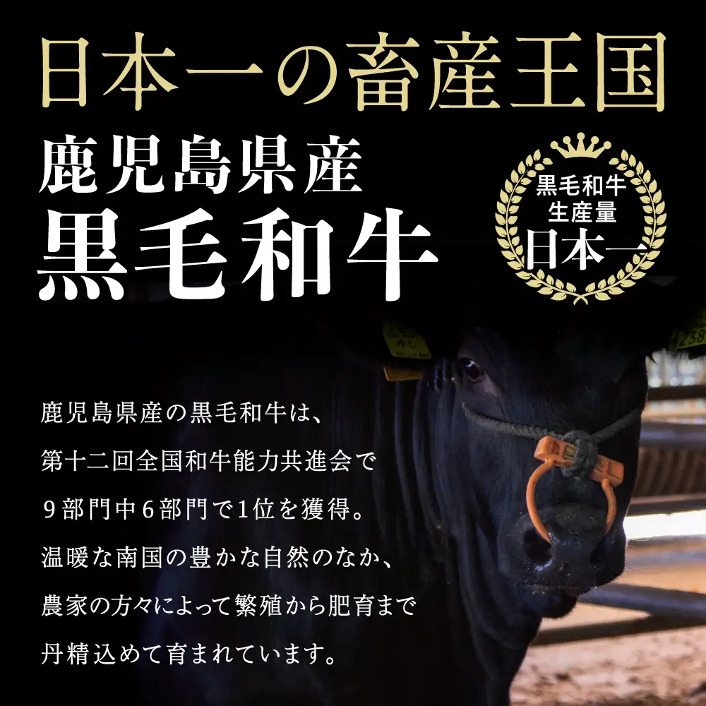 鹿児島県産黒毛和牛 赤身ももスライス 計1.2kg（400g×3P） 黒毛和牛 和牛 牛肉 肉 赤身 モモ スライス 薄切り すき焼き すきやき しゃぶしゃぶ 鍋 あっさり ヘルシー 冷凍 ギフト 贈答 贈り物 プレゼント スターゼン 鹿児島県 南さつま市