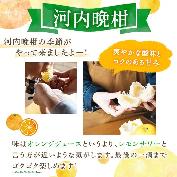 ＜先行予約受付中！2027年3月中旬以降順次発送予定＞訳あり 河内晩柑(S～L・18個・約6kg) 柑橘 フルーツ 果物 国産 みかん 期間限定 数量限定 【株式会社土曜日】akn069-13