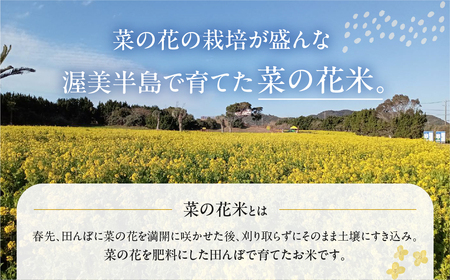 渥美半島菜の花米 あきたこまち 5kg お米 白米 玄米対応可 愛知県 渥美半島 田原市 アキタコマチ
