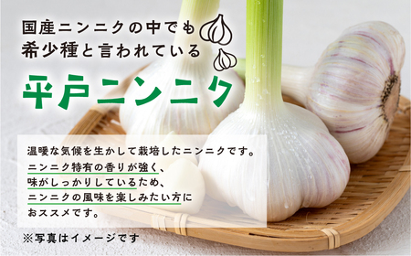 ≪先行予約≫ 訳あり 渥美半島産　ニンニク （生）１ｋｇ 簡易包装 にんにく 国産にんにく 平戸にんにく 愛知県 田原市