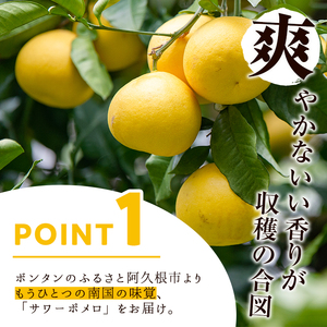 ＜先行予約受付中！2027年2月下旬以降順次発送予定＞＜訳あり・傷あり＞数量限定！サワーポメロ(約7kg) 国産 フルーツ 果物 柑橘類 サワーポメロ 甘味 酸味 デザート おやつ 訳あり【なかむら果樹園】akn014-01