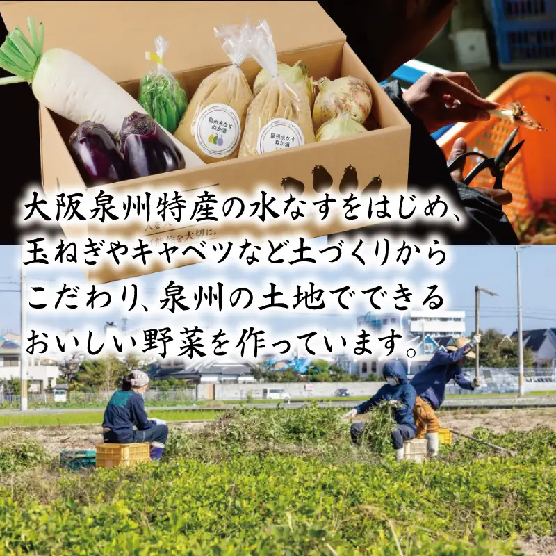 ねね屋のとれたて野菜セット 5品目以上 詰め合わせ