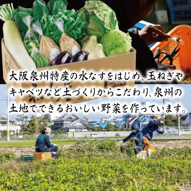 ねね屋のとれたて野菜セット 7品目以上 詰め合わせ