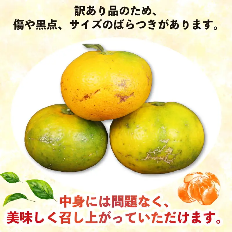 訳あり 極早生みかん 9kg 河野農園 温州みかん 温州 B010-147002