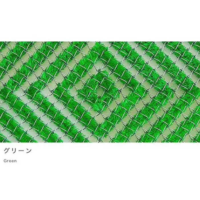 玄関マット 泥 雪 落とし 36×60cm グリーン SNG102107802