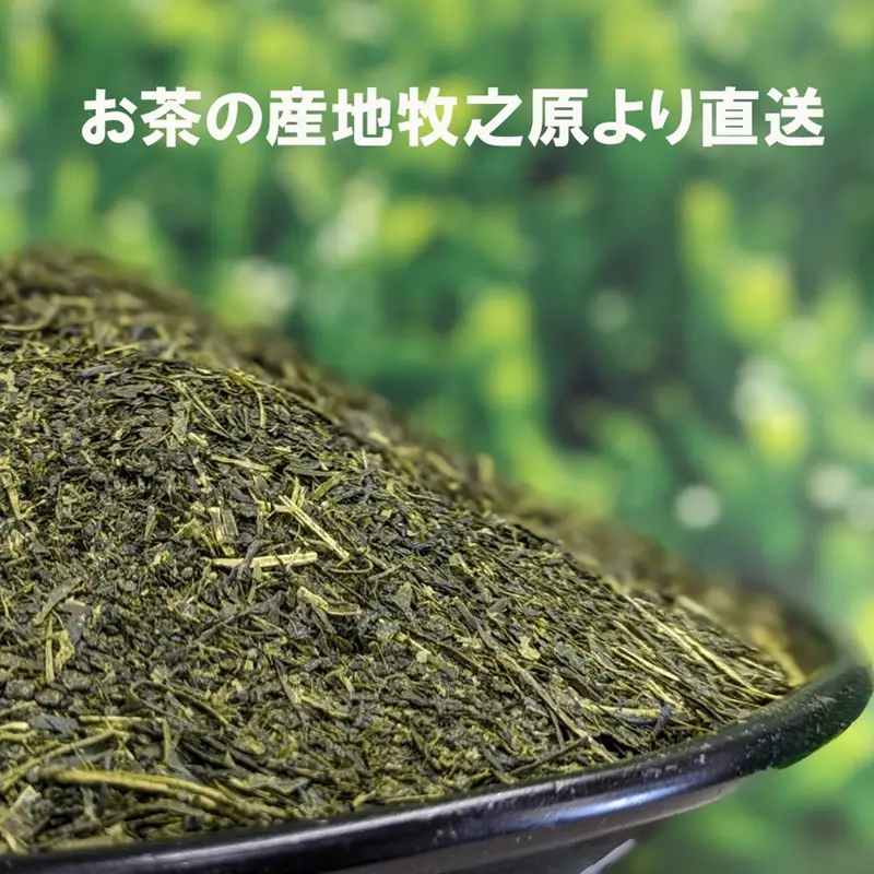 わけあり　袋おまかせ　牧之原深蒸し茶 500g