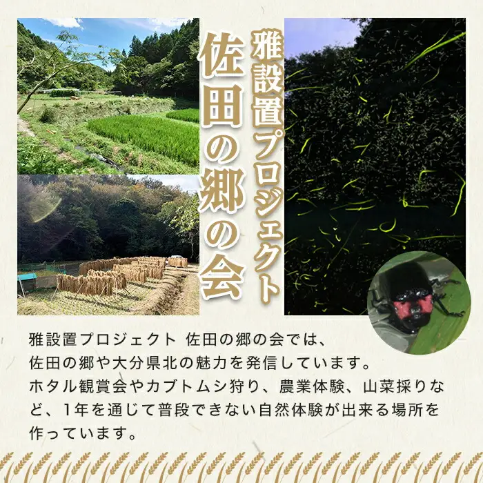 ＜令和7年産＞佐田の郷の米 慣行栽培米(10kg) お米 白米 ごはん ヒノヒカリ ひのひかり ブランド米 常温 常温保存【111700204】【雅設置プロジェクト　佐田の郷の会】
