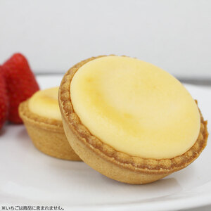 半生チーズ　ケーキ 15個入