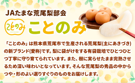 梨 梨 秀品 荒尾梨 「ことのみ」 あきづき  約3.5～4kg 《9月上旬-9月中旬頃出荷》 JAたまな荒尾梨部会 梨  