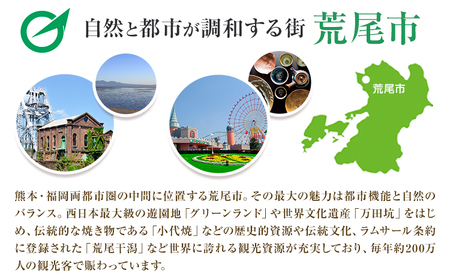 クーポン 地域限定旅行クーポン【15,000円分】日本旅行 《寄付翌月を目途に付与いたします》 熊本県 荒尾市 旅行 トラベル 熊本 旅行券 チケット 観光 クーポン 紙券 