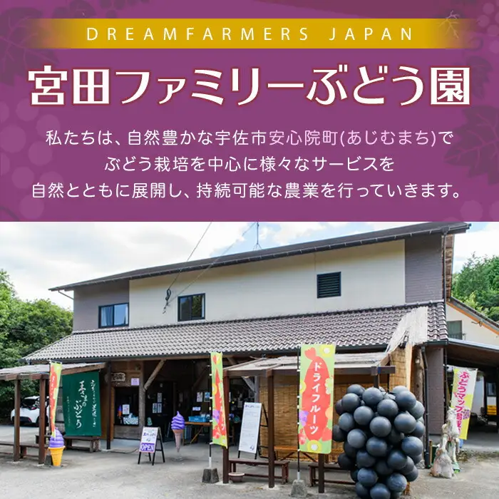 ねてもさめても濃縮蜜柑(計350g・35g×10袋)ドライフルーツ みかん ミカン 果物 くだもの フルーツ 乾燥 濃縮 小分け セット【100702000】【宮田ファミリーぶどう園】