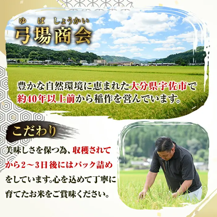 ＜先行予約受付中！2026年8月下旬以降順次発送予定＞宇佐市院内産コシヒカリ(計10kg・5kg×2袋) 早期米 米 お米 真空パック白米 精米 国産 限定 ごはん ご飯 白飯 ゴハン【111000101】【弓場商会】