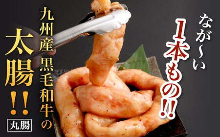 1本焼き たれ漬け 極太 ほるもん 太腸版 新鮮 ホルモン たれ タレ モツ もつ 牛モツ 牛もつ ぷりぷり 旨味 黒毛和牛 丸腸 真空パック 国産 九州産 冷凍