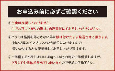 幻のハラミ これが和牛のハラミ（横隔膜）です【2027年1月～2月発送】黒毛和牛 和牛 ハラミ 上ハラミ 肉 お肉 高級 サシ 焼肉 BBQ 希少 新鮮 国産 九州産 冷蔵