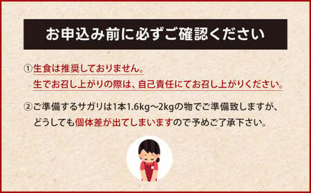 幻のサガリ これが和牛のサガリです【2027年1月～2月発送】黒毛和牛 和牛 サガリ 肉 お肉 高級 サシ 焼肉 BBQ 希少 新鮮 国産 九州産 冷蔵