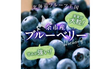 フルーツ王国余市産 冷凍ブルーベリー 1kg【ニトリ観光果樹園】_Y074-0149