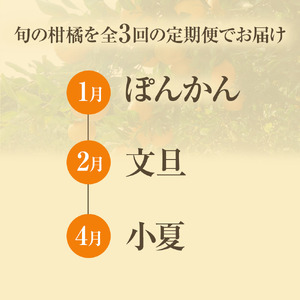 【令和８年発送】 オレンジ園の柑橘3種（ぽんかん・文旦・小夏）各10kg 3回定期便 【J00105】