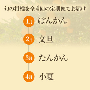 【令和８年発送】＜ 訳あり＞ オレンジ園の柑橘4種（ぽんかん・文旦・タンカン・小夏）各5kg 4回定期便【J00100】