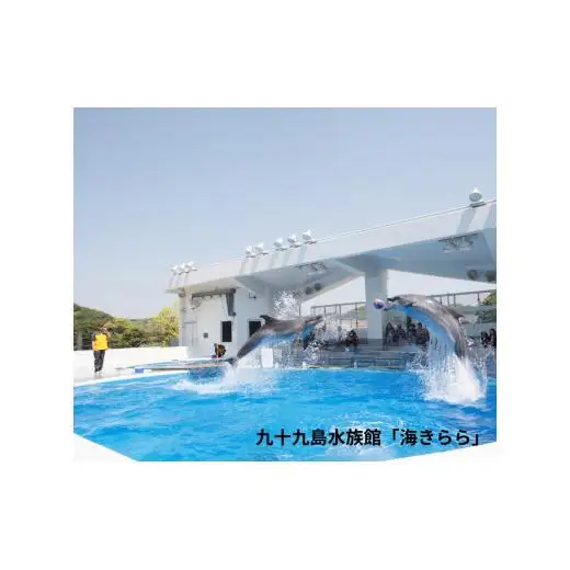 海きらら･森きらら入場引換券(子ども4名)