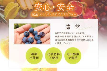 浜田市の季節の旬の果物を使ったクラフトジャムセット【限定】（イチゴ・ブルーベリー・もも） 加工品 果物 フルーツ ジャム ギフト 自家製 国産 有機砂糖 イチゴ ブルーベリー もも パン ヨーグルト ドレッシング セット 詰め合わせ 【187_1955】