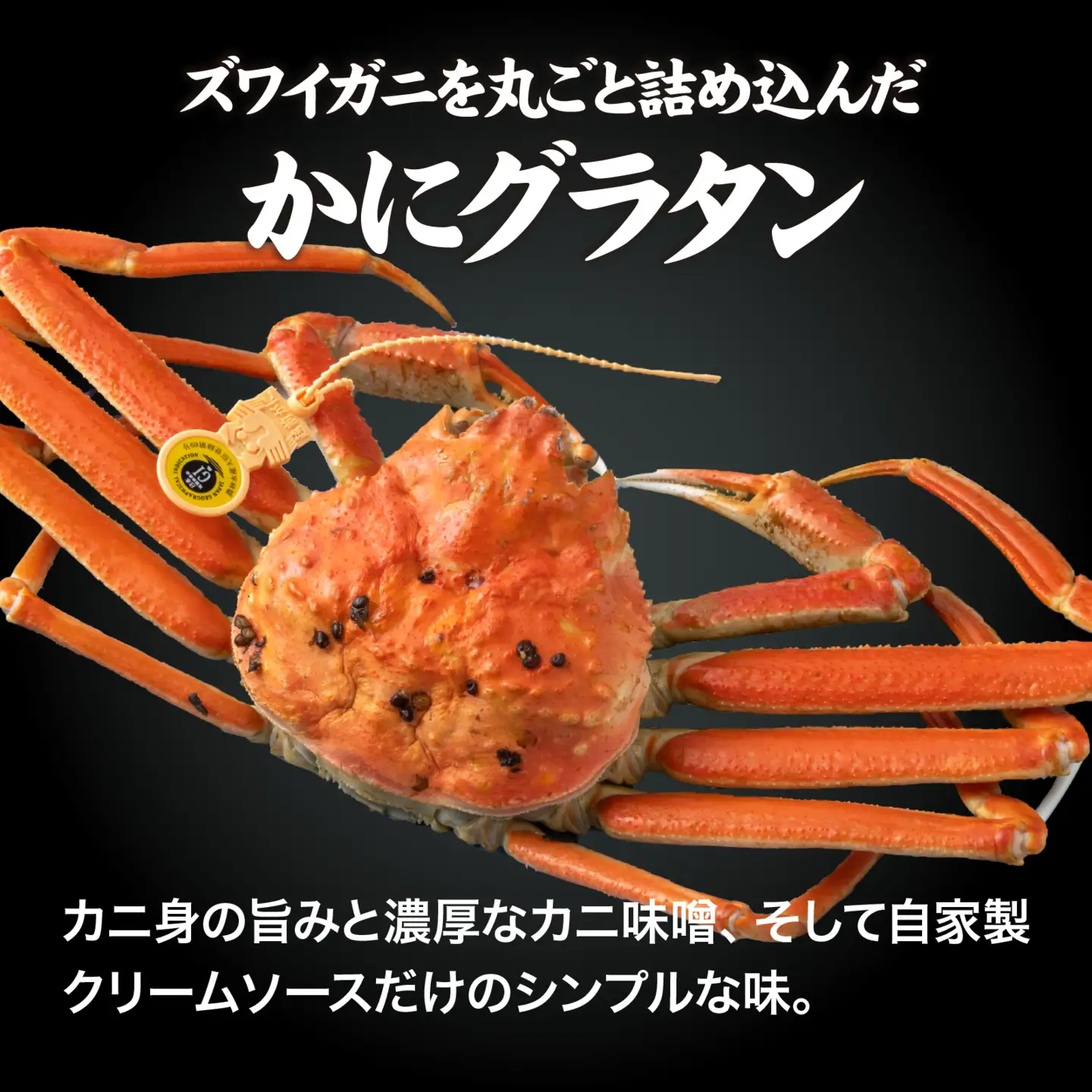 【成前特選】かに屋が本気で作った 超濃厚越前かにグラタン【ズワイガニ ギフト用】[D-028035]