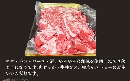 63-45A新潟県産 越後牛切り落とし500g