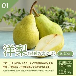 SE0510　【3回定期便】庄内産 洋梨3種味比べ定期便2026 (洋梨〔品種おまかせ〕 、ラ・フランス、シルバーベル/各約3kg)