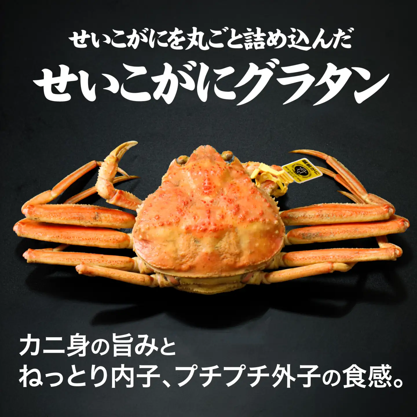 【成前特選】かに屋が本気で作った 超濃厚越前かにグラタン【せいこがに ギフト用】[D-028077] / グラタン