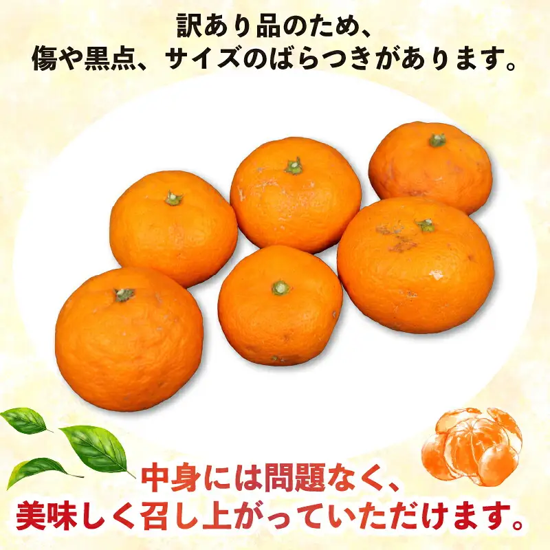 訳あり 南柑20号 9kg 河野農園 温州みかん みかん 人気のみかん 美味しいみかん 濃厚みかん 温州蜜柑 愛媛みかん 愛媛蜜柑 愛媛ミカン 蜜柑 mikan 温州 柑橘 果物 くだもの 訳アリ 訳あり品 訳有り わけあり フルーツ 産地直送 数量限定 先行予約 国産 愛媛 宇和島 B010-147004