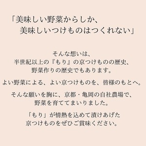 漬物 京つけものもり お試し6種 漬物