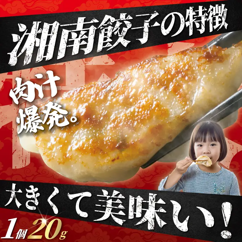 【ふるなびWEEK対象】 湘南生餃子 192個 約3.8kg 餃子 ぎょうざ