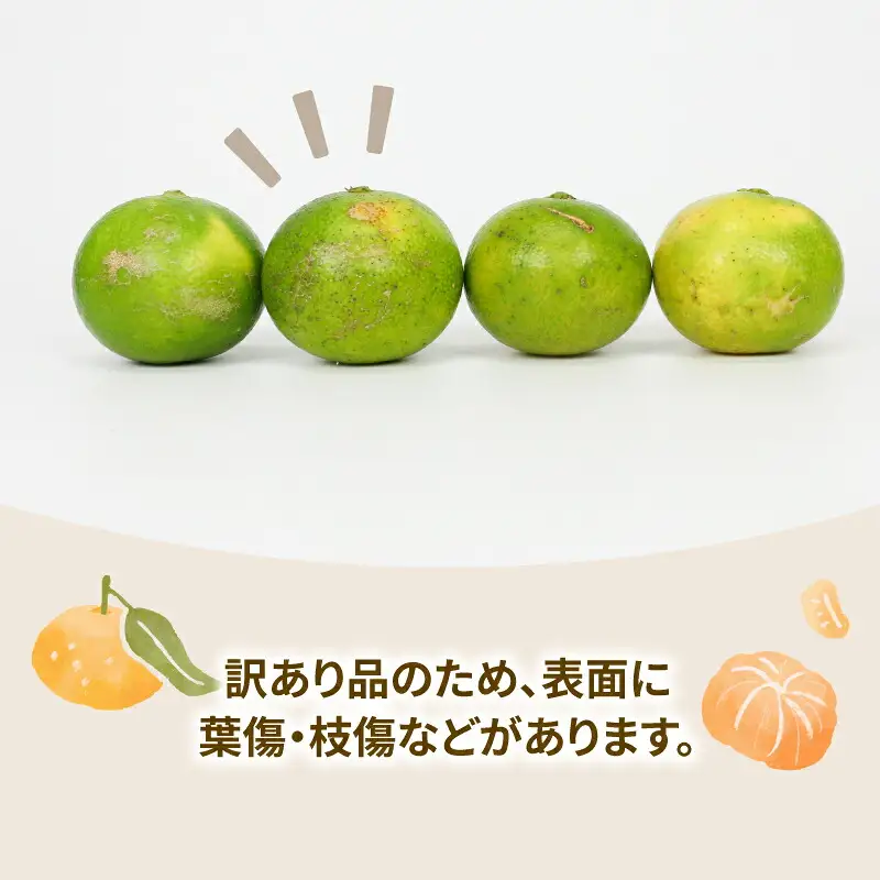 【ご家庭用】訳あり極早生みかん9kg玉津柑橘倶楽部|みかん(B010-072029)
