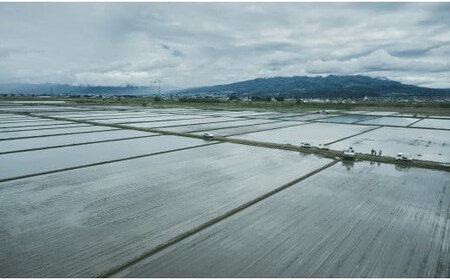 36-C こがねもち（令和7年産米）会津坂下産もち米 10kg（5kg×2袋） T.Farming※沖縄・離島への配送不可